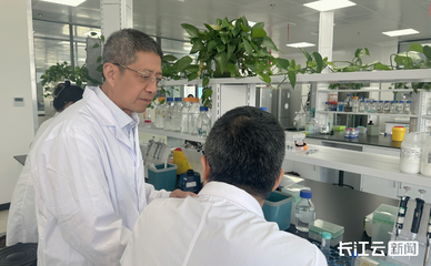 世界首創(chuàng)“稻米造血”生產(chǎn)線武漢投產(chǎn)，生物科技引領(lǐng)醫(yī)療新革命