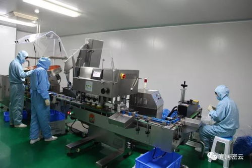 密云生物與醫藥產業 創新驅動，部分產品科技水平國內領先