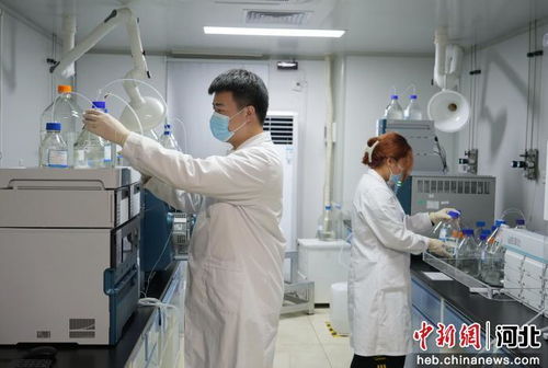 廊坊市積極引進京津創新資源，賦能生物醫藥研發產業高質量發展